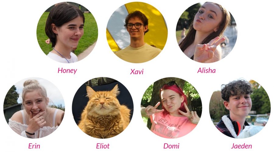 Meet the SW Youth Council